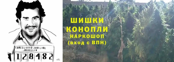 Альфа ПВП Володарск