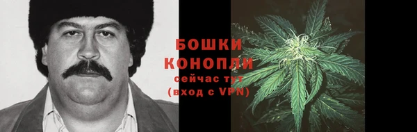 мяу мяу мука Волоколамск